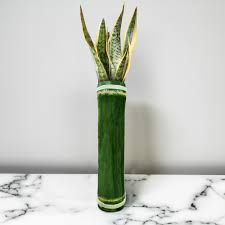 Bamboo Vases